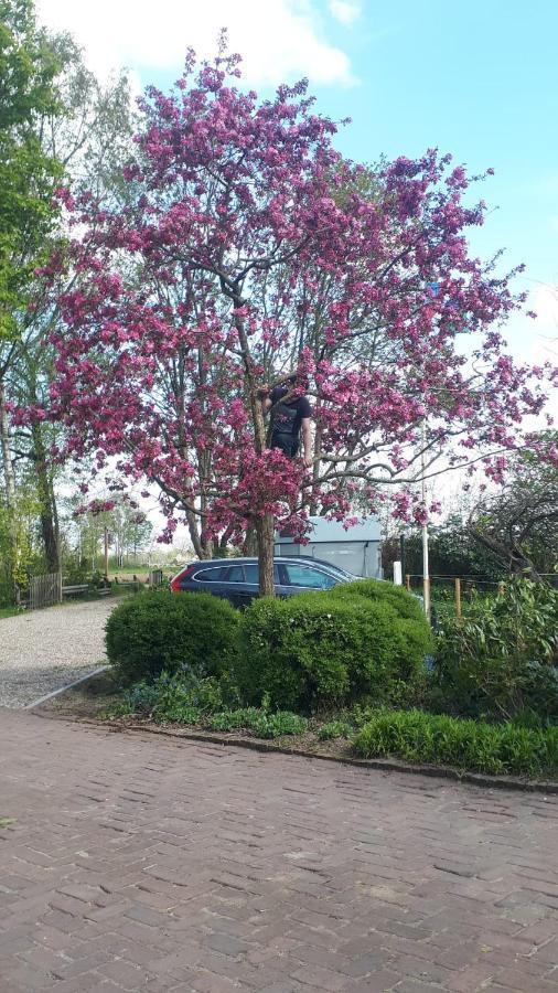 Gastenverblijf 'T Oelengoor Sinderen Zewnętrze zdjęcie